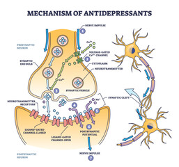 Mechanism of antidepressants for brain cells neurotransmitters boost outline diagram. Labeled educational anatomical scheme with nerve impulse and hormones to fight depression vector illustration. - obrazy, fototapety, plakaty