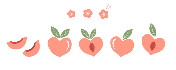 Set of peach fruit with green leaves and flower icon sign isolated on white background vector illustration