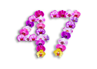 The shape of the number 47 is made of various kinds of orchid flowers. suitable for birthday, anniversary and memorial day templates
