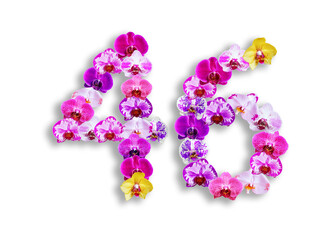 The shape of the number 46 is made of various kinds of orchid flowers. suitable for birthday, anniversary and memorial day templates