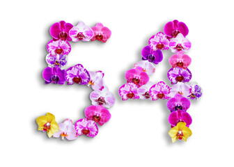 The shape of the number 54 is made of various kinds of orchid flowers. suitable for birthday, anniversary and memorial day templates