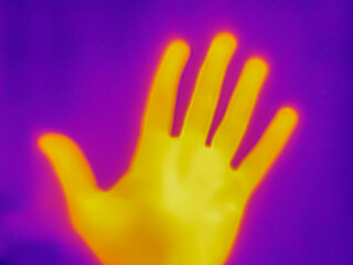 A thermal image of the palm of a hand captured with an infrared thermal camera