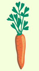 cartoon carrot in vector.vegetable in flat style isolated from background.print design object element.leaves hearts. fresh root vegetable grown with love in the garden.