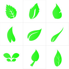 set of green leaves/Vector leaf illustration 9