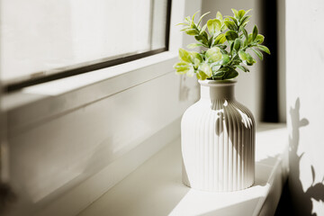 Gypsum vase, handmade by the window with flowers. Mini vase for dried flowers and other decorative items and natural flowers. Beautiful natural light