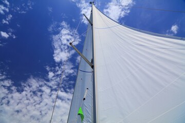 Mainsail and headsail on sailboat