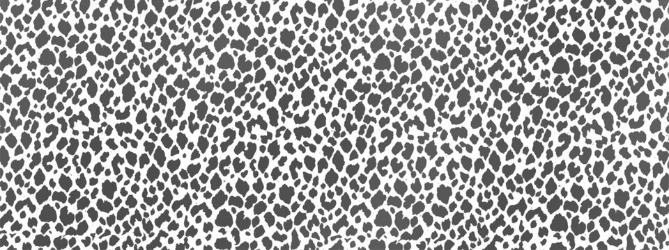 Leopard Pattern. White And Black. Animal Print Background For Fabric, Textile, Design. Animal Print. Vector Background EPS 10