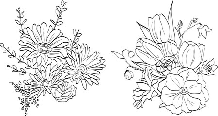 Flower Line Art Illustrations