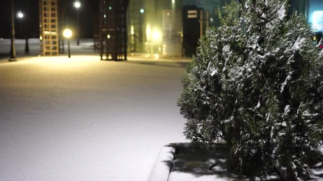 Snow night park. Snow is falling on empty city park. A lonely snow-covered bench stands near sea. Christmas Winter New Year Scenery background. Frosty winter in the city after snowfall