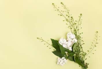 Bouquet with white flowers on a light background.