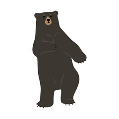 American Black Bear Single cute 11, vector illustration