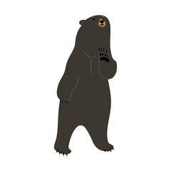 American Black Bear Single cute 13, vector illustration