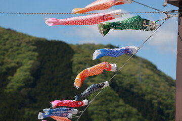 koinobori flown in the sky during children's day in japan - 603642582