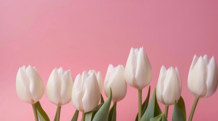 Bouquet of white tulips on pastel pink background with copy space. Generative AI.