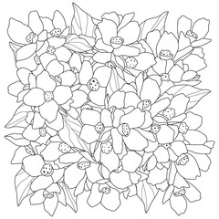 Square coloring full frame of flowers. Black and white vector illustration sketch contour drawing.
