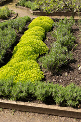 A well laid out Herb Garden on a bright summers day