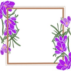 frame with flowers crocuses lilac purple
