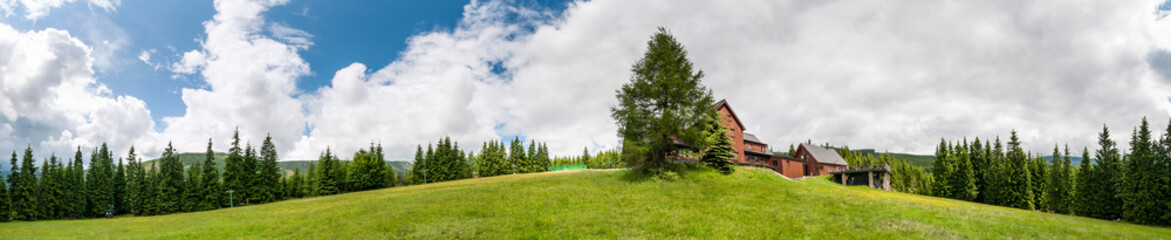 Fototapeta na wymiar grass and sky