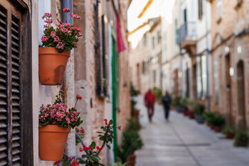 Fototapeta na wymiar Alcudia street. Kalanchoe in flower pot as decoration in tourist resort. Traditional old town in Majorca, Spain