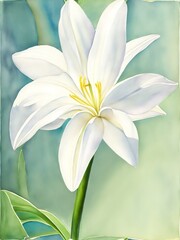 A vibrant watercolor painting of a single white lily. AI generated.