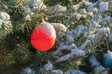  Real winter in garden. Evergreen Christmas trees with Christmas toys on branches. Christmas toy, Christmas ball under snow on spruce branch.Selective focus. Blurred background.