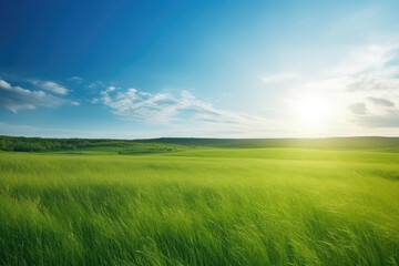 Fototapeta na wymiar Beautiful panoramic natural landscape of a green field with grass against a blue sky with sun. Spring summer blurred background.