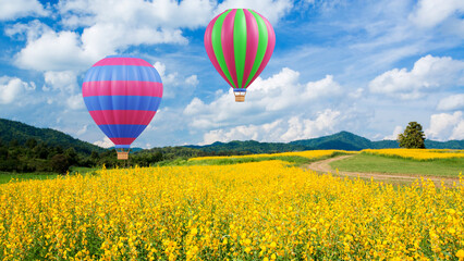 Fototapeta na wymiar Hot air balloon over yellow flower fields
