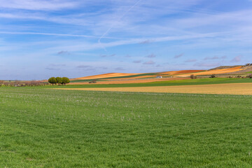 field and the clouds in Zamora