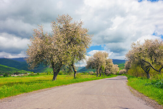spring blooms create a beautiful background for the winding road through the countryside. picturesque view of the serene mountain range and vast fields. beauty of the rural landscape