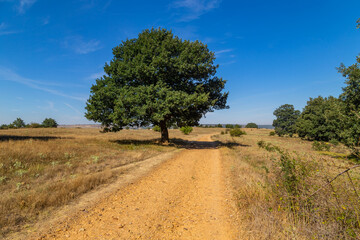 Rural road in the Spanish
