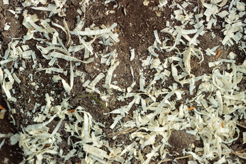 Texture of the land with humus, sand and sawdust. Alternative fuel, wood chips