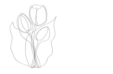
Vector modern set of isolated hand drawn doodle flowers. Pattern of tulips drawn in one line on a white background