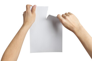 Hands tearing a sheet of white paper in half, cut out