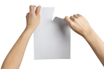 Hands tearing a sheet of white paper in half, cut out