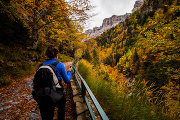 Young woman in autumn in Ordesa and Monte Perdido National Park, Spain