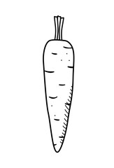 Carrot sketch icon doodle. Vector drawing vegetable on a white background.