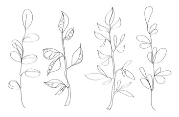 Hand branch with leaves. Drawing plants with one line. Botanical leaves. Twigs with leaves of different shapes Continuous line art. Vector illustration