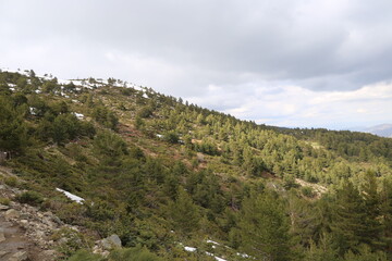 Fototapeta premium Monte