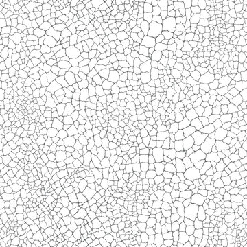Cracked and weathered dry surface texture. Seamless pattern with dried out and aged crack effect. Distressed overlay grunge vector background