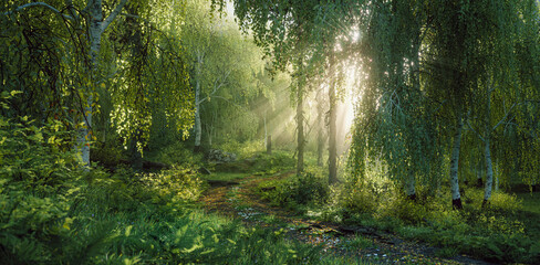 A lush mixed forest of birches and conifers in the evening light in a fine misty haze that, together with the trees, creates volumetric rays of sunlight illuminating the forest path. 3d rendering.
