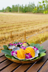 Sweet Mango Sticky Rice. Delicious Thai dessert (Kwao Neaw Ma-Moung) ripe mango with coconut milk sauce decorated with orchid on plate and leaves. Summer tropical asian fruit rice field background.