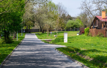 Fototapeta na wymiar Asphalt path in the park with grass and trees