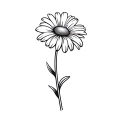 Fototapeta premium Attractive and classy image of flower generated by AI