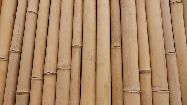 Close-up of a bamboo fence in a modern park. Bamboo background. Bamboo fence.