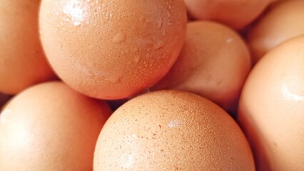 Many chicken eggs fresh preparations for cooking