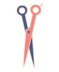 Hair Scissors