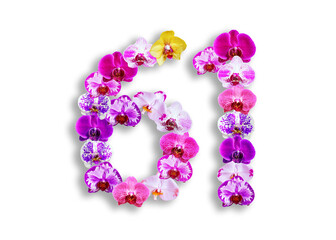 The shape of the number 61 is made of various kinds of orchid flowers. suitable for birthday, anniversary and memorial day templates