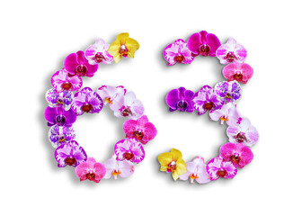 The shape of the number 63 is made of various kinds of orchid flowers. suitable for birthday, anniversary and memorial day templates