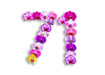 The shape of the number 72 is made of various kinds of orchid flowers. suitable for birthday, anniversary and memorial day templates