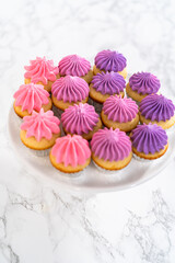 Mini Vanilla Cupcakes with Pink Buttercream Frosting